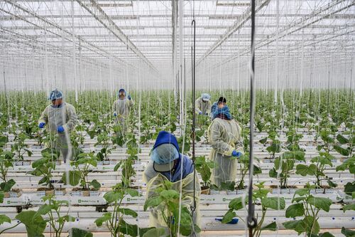 03_ZC2024_Food for thought_Kadir van Lohuizen