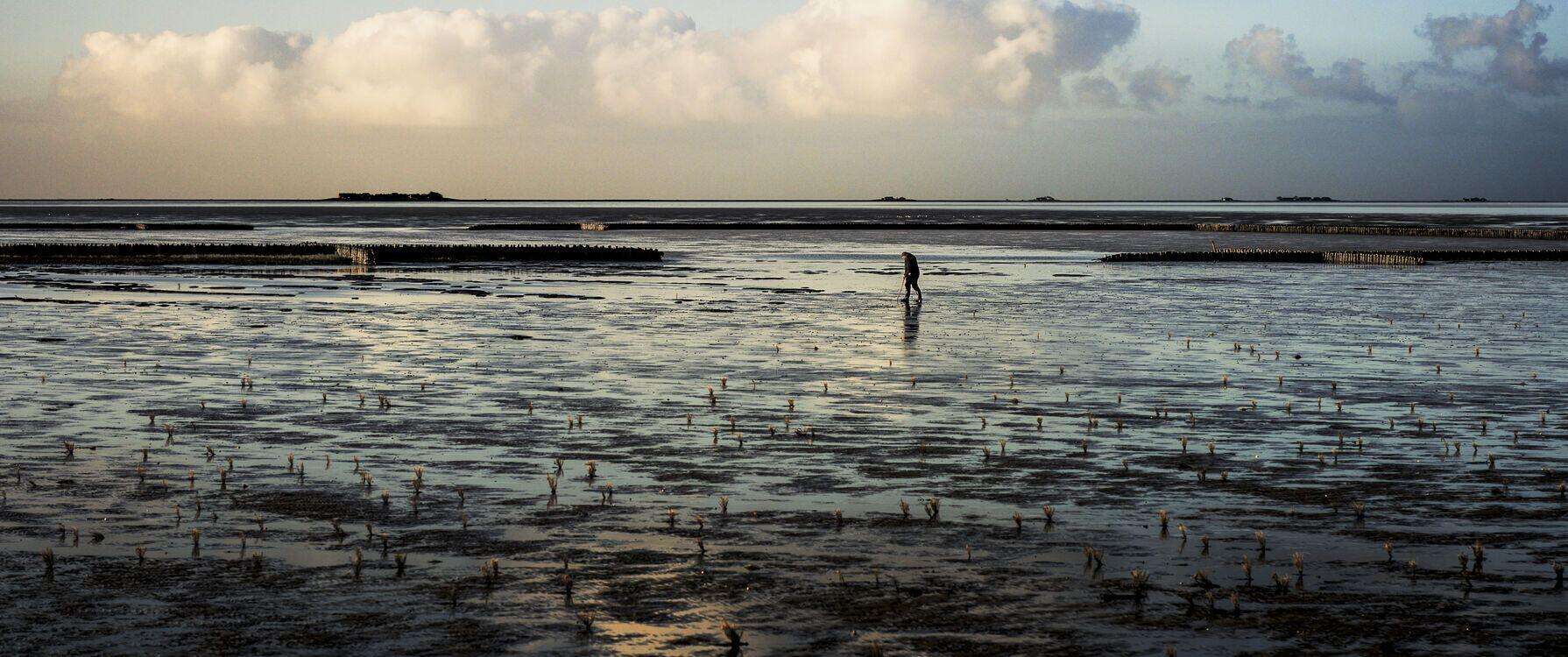 10554