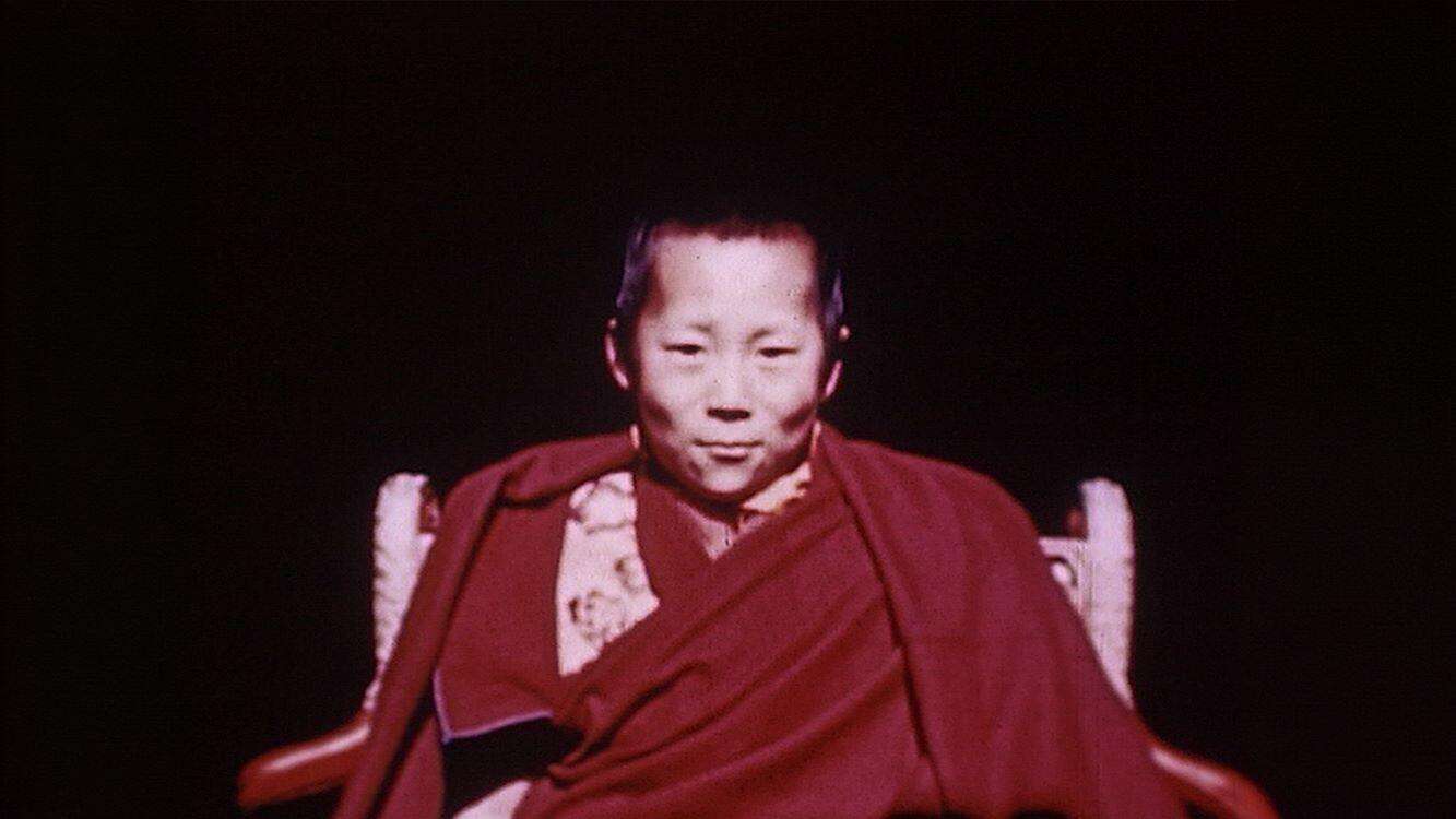 23284