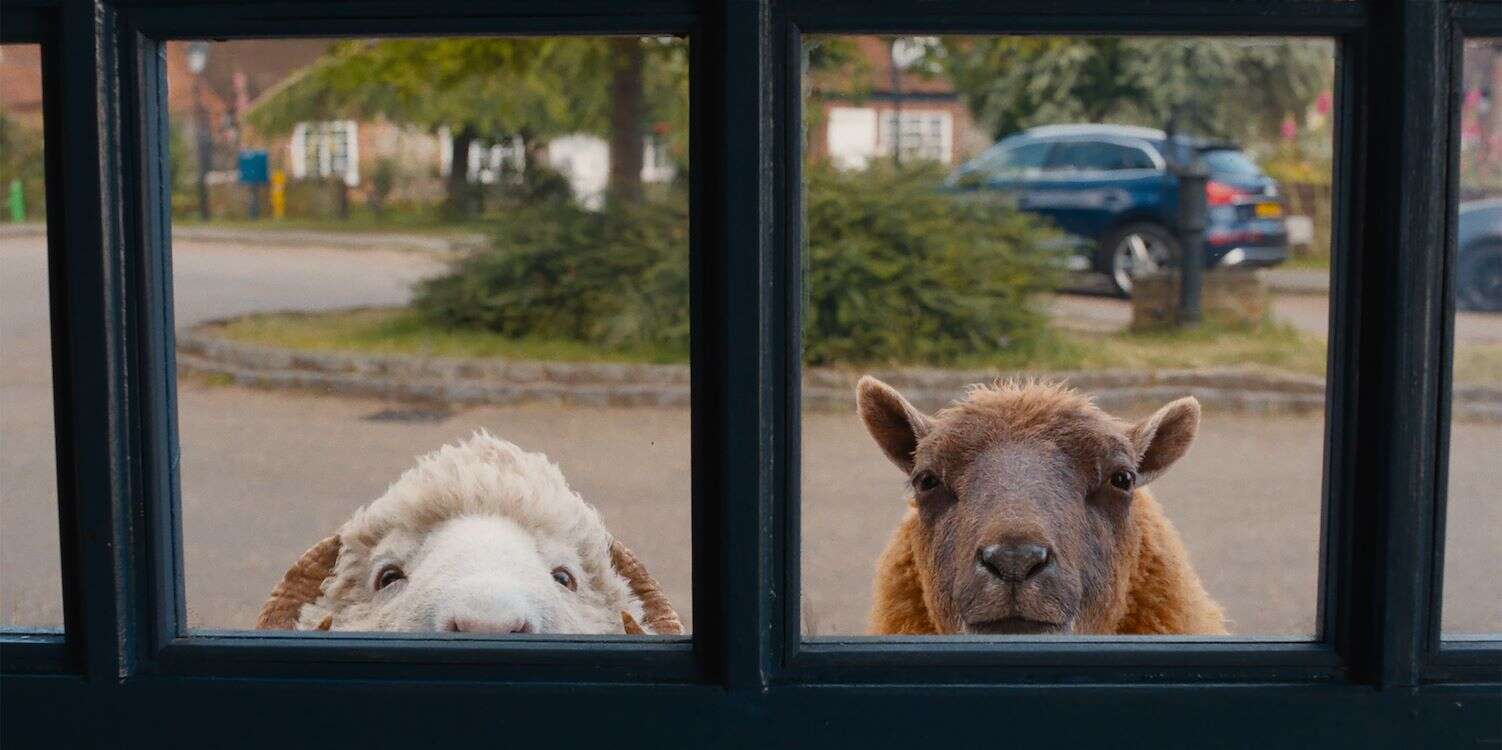 26353