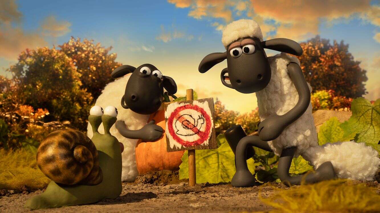27886