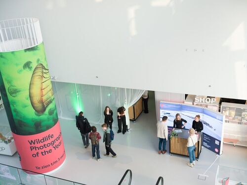 43ef595f-eec2-41c3-b80d-1cf4f27b3410