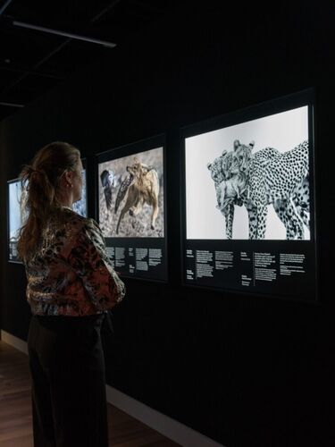 5417f0ec-464d-4894-9e73-fa29a24a7b42