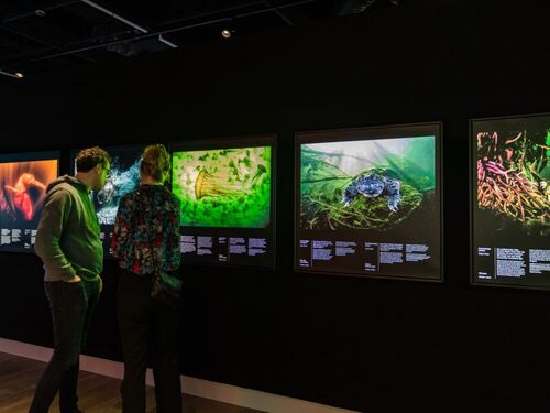 7ee5f09e-6a5c-4f7a-a5cc-59741085b626