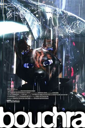 Bouchra
