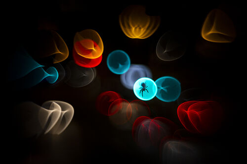 (c) Simone Baumeister, Wildlife Photographer of the Year (image 58)