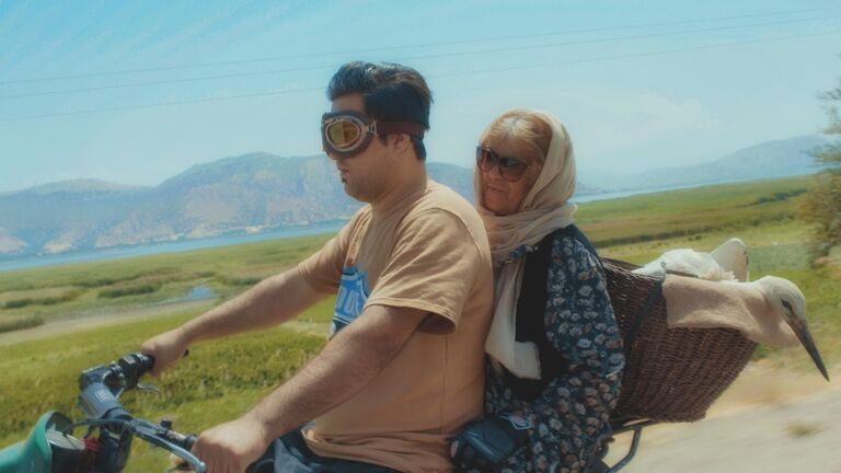 CinemAsia: Singing Wings