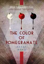 Cinematic Beauty: The Color of Pomegranates