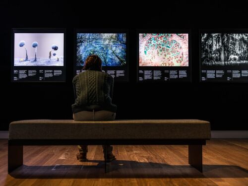 d2c227b8-1b0b-4404-a374-bead779c2ad2