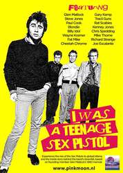 Docs: I Was A Teenage Sex Pistol