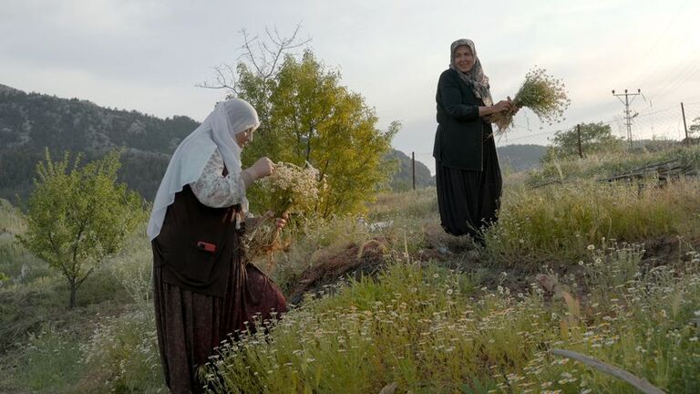 Docs: Mohammed & Paul - Once Upon a Time in Tangier