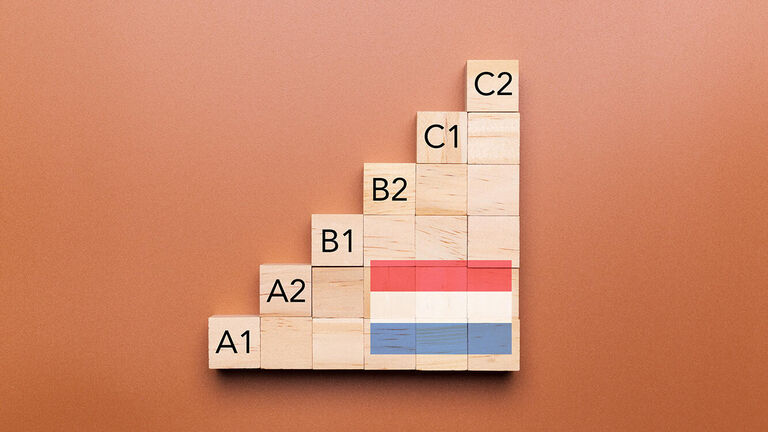 Dutch as a second language | B1