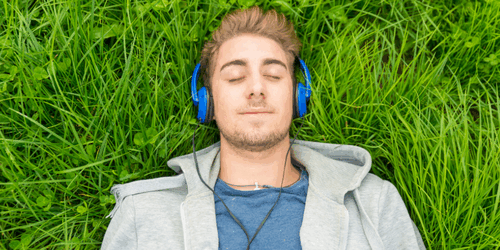 Een muzikale reis door je brein (NL)