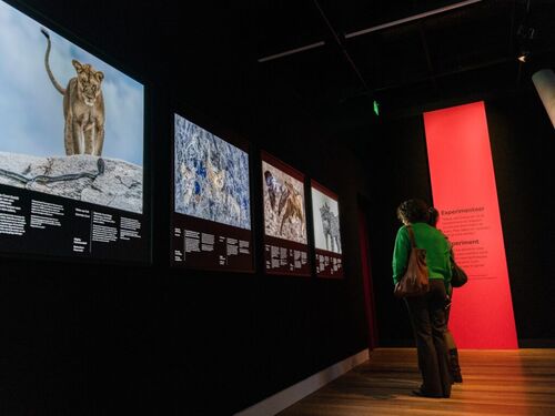 f0d73def-78d3-458f-afec-63295c6871f8