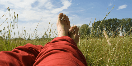 Fantasizing in a dream world