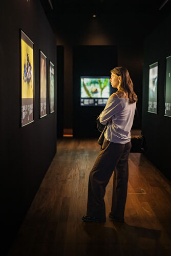 Forum - Opening Wildlife Photographer of the Year (33 of 51) (4)