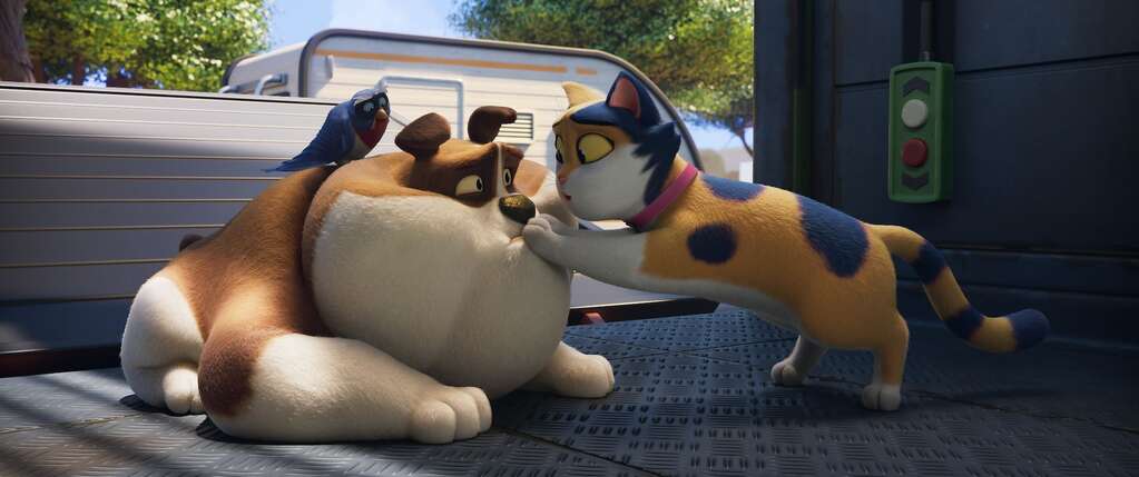 Framed kinderfilmspecial: Miss Moxy (6+) 