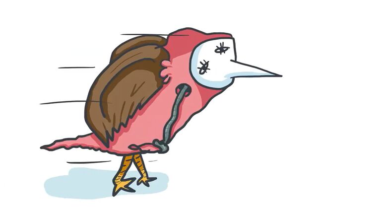 Framed: Shorts of the North Competition