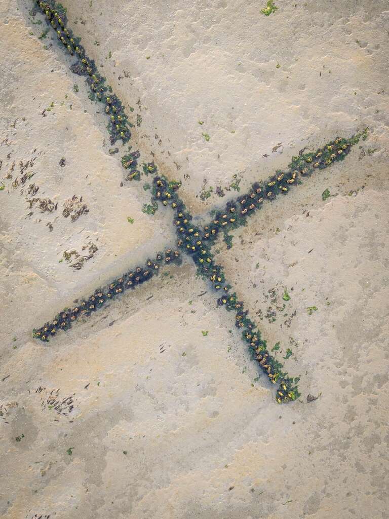 GeVe-verticaal kleiner formaat