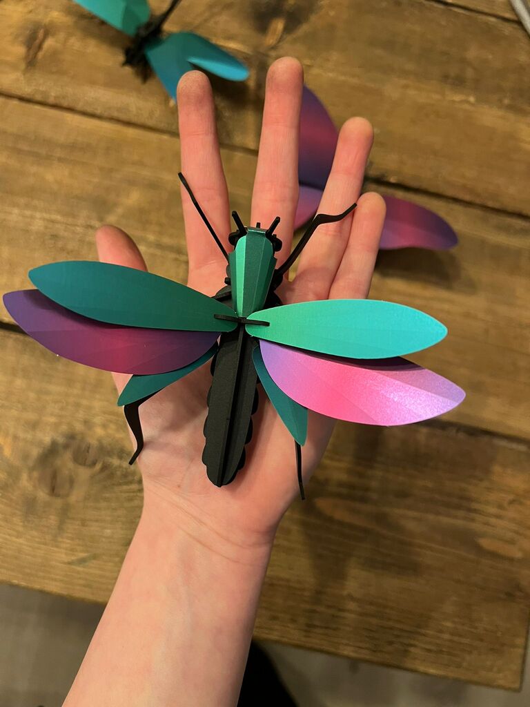 Het Carnaval van de Insecten