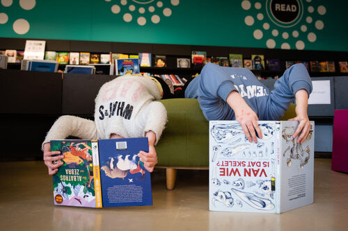 leesjefit-854527 (1)