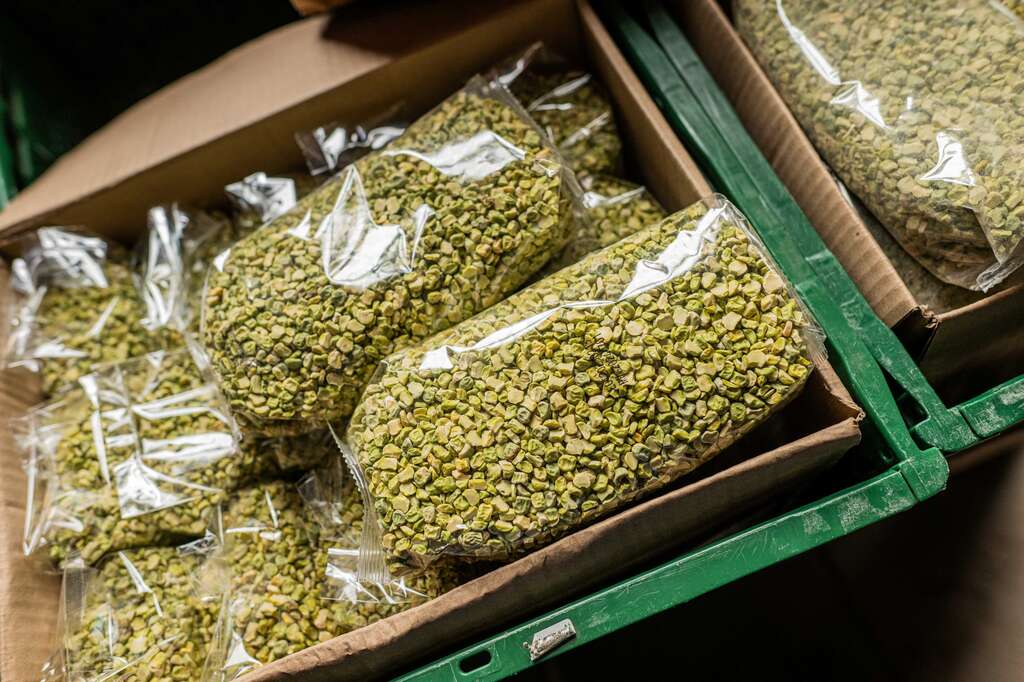 LETS-GRO-D2-NielsKnelis-0042-DSC_7695