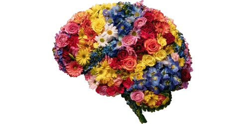 Let's Talk Neurodiversiteit (ENG)