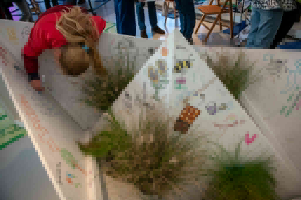 letsgro2025-overig-856779