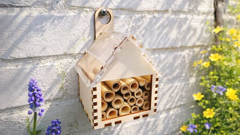 Maak je eigen insectenhotel (8+)
