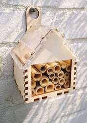 Maak je eigen insectenhotel (8+)