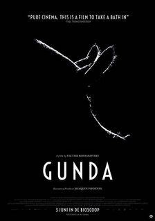 Marvelous Mind: Gunda