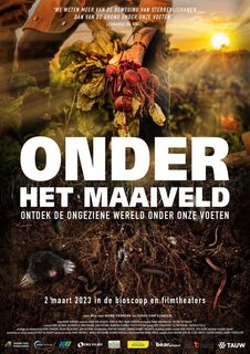 Marvelous Mind: Onder het Maaiveld