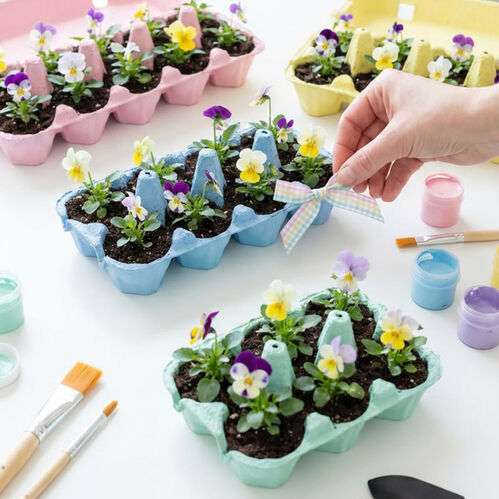 Medialab instuif Q3 bloeiende bloemen