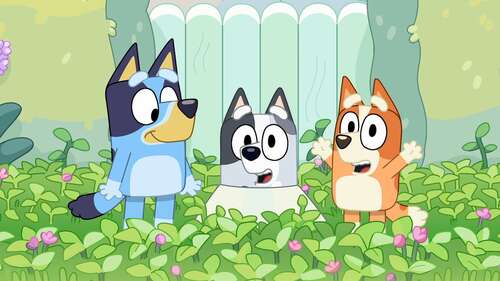 Meet & Greet met Bluey