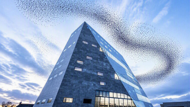 Niemand heeft dit bedacht, het wonderlijke principe van zelforganisatie