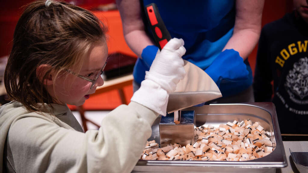 Roald Dahl Festival 2022 16x9 web 6