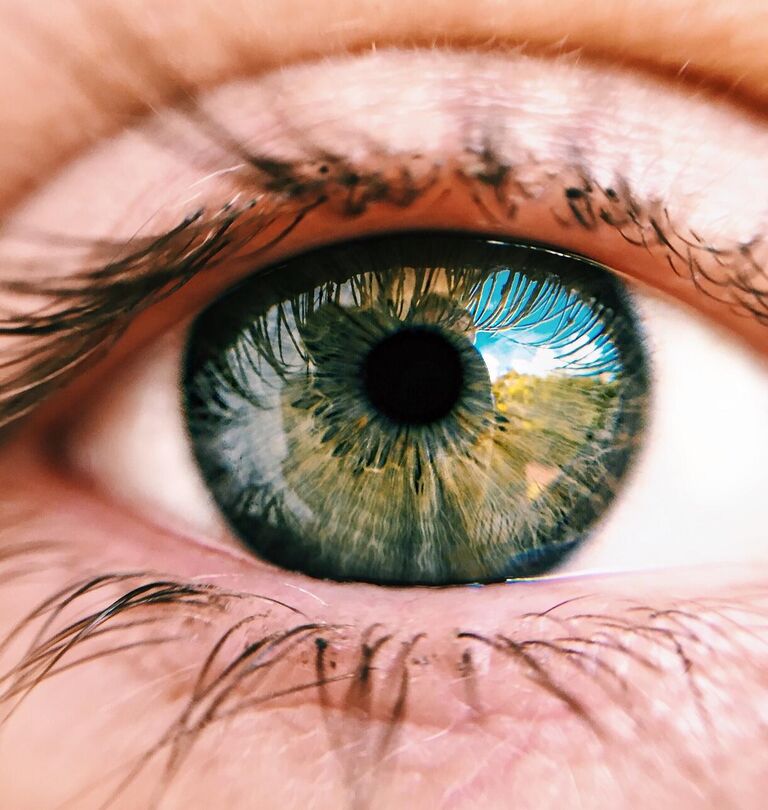 Show me what you think to understand