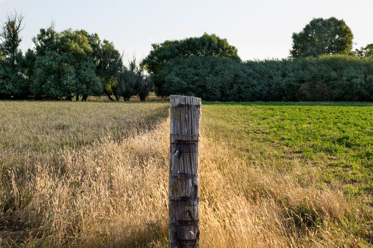 Sterke netwerken, groene boerderijen