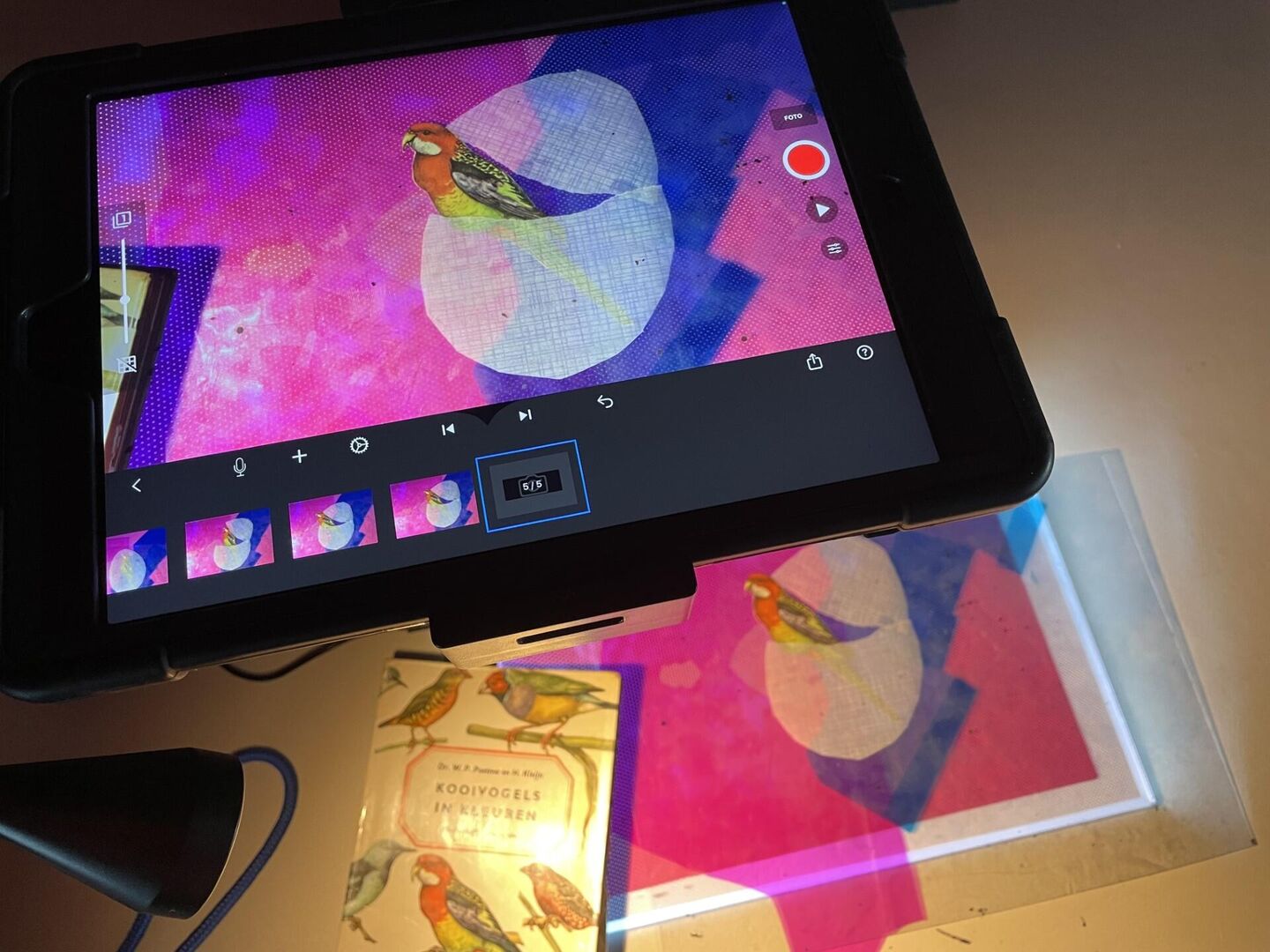 Stop-motion: Wat komt er uit jouw ei? (7+)