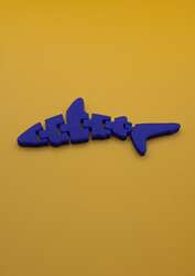 Teken en print je eigen Wildlife flexitoy (8+)