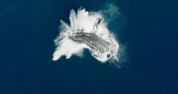 Whale Nation