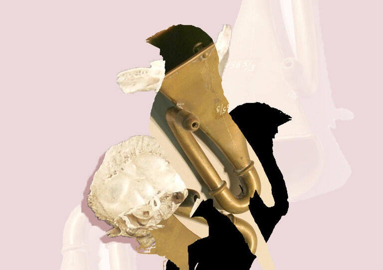 What’s that sound?! - How does noise pollution impact our daily life? - (ENG)