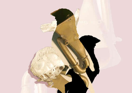 What's that sound? - What can songbirds teach us about speech acquisition? (NL)